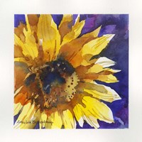 Solstice Fine Art Print