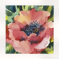 Stunner Fine Art Print