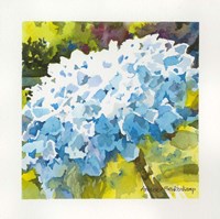 Sturdy Fine Art Print