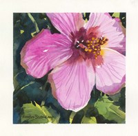 Tropical Fine Art Print