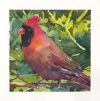 Vermillion Fine Art Print