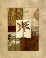 Colonial II Fine Art Print