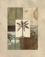 Colonial II Fine Art Print