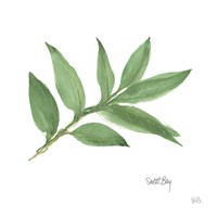 Sweet Bay Framed Print