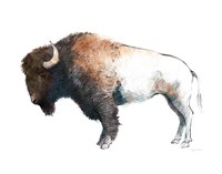 Colorful Bison Dark Brown Fine Art Print