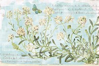 Botany Blue I Fine Art Print