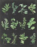 Herb Chart on Black Fine Art Print