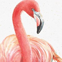 Gracefully Pink II Fine Art Print