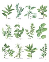 Herb Chart Fine Art Print