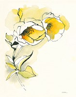 Carols Roses II Fine Art Print