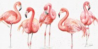 Gracefully Pink VIII Fine Art Print