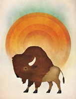 Blazing Sun Bison Fine Art Print
