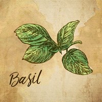 Basil on Burlap Fine Art Print