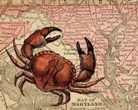 Maryland's Jumbo Crabs Fine Art Print