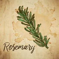 Rosemary on Burlap Fine Art Print