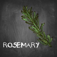 Rosemary on Chalkboard Fine Art Print