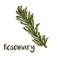 Rosemary Framed Print