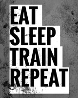 Eat Sleep Train Repeat Fine Art Print