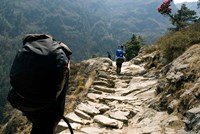 Trekkers on the trail towards Namche Bazaar, Khumbu, Nepal Fine Art Print