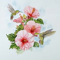 Pink Hibiscus Fine Art Print