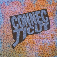 Connecticut on Pattern Fine Art Print