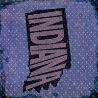 Indiana on Pattern Fine Art Print