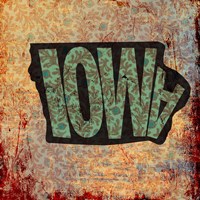 Iowa on Pattern Fine Art Print
