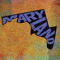 Maryland on Pattern Fine Art Print