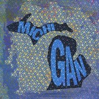 Michigan on Pattern Fine Art Print