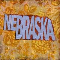 Nebraska on Pattern Fine Art Print