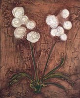 White Flowers on Red II Fine Art Print