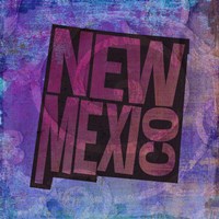 New Mexico on Pattern Fine Art Print