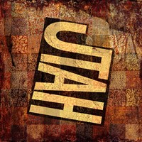Utah on Pattern Fine Art Print