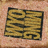 Wyoming on Pattern Fine Art Print