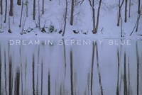 Dream in Serenity Blue Fine Art Print