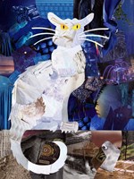 Le Chat Blanc Fine Art Print