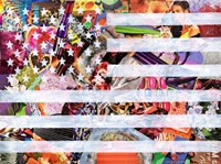 Murican Flag Fine Art Print