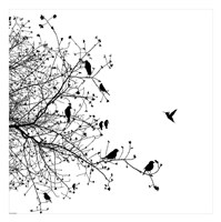 Bird I Fine Art Print