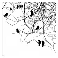 Bird II Fine Art Print