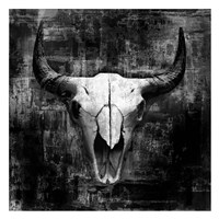 Black Cowskull Fine Art Print