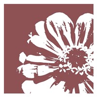 Flower II Framed Print