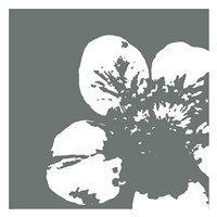 Flower III Framed Print