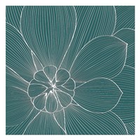 Myrrhis odorata II Fine Art Print