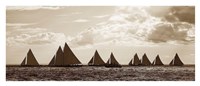 Sailboats Fine Art Print