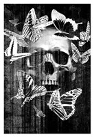 Skull Butterfly Crown Fine Art Print