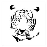 Tiger Fine Art Print