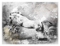 White Horse Fine Art Print