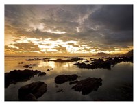 Beach 2 Fine Art Print