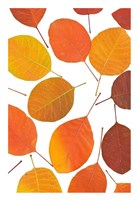 Brown Leaves Fine Art Print