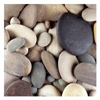 Brown Pebbles Fine Art Print